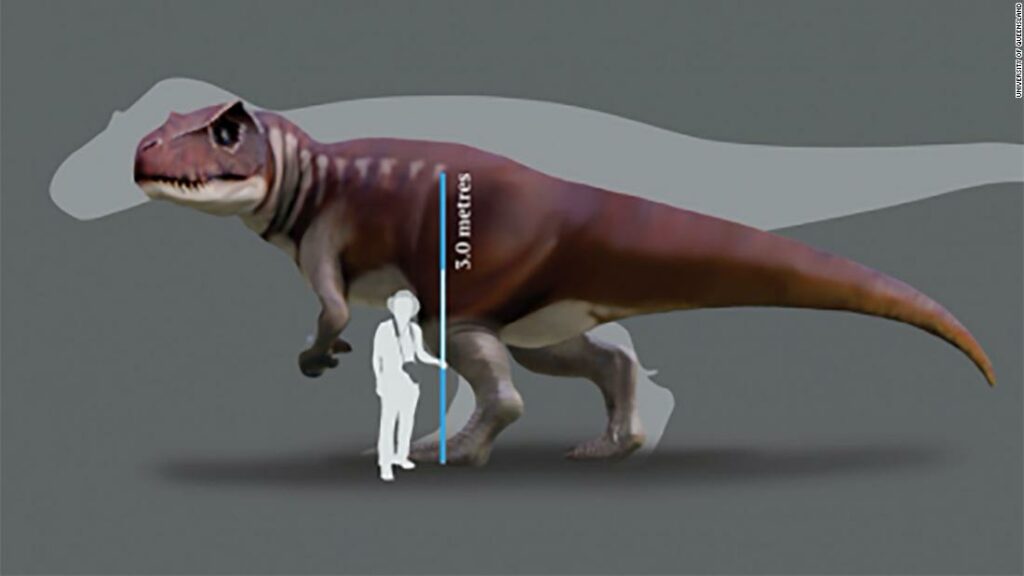 Huge carnivorous dinosaurs lived in Australia, scientists reveal
