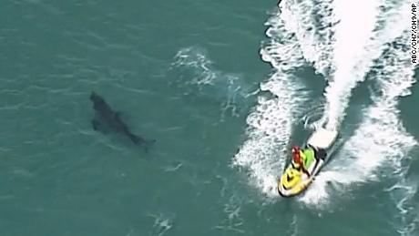In this image taken from an aerial video, jet skiing passes over a shark swimming along the coast of Kingscliff, New South Whales, Australia, Sunday, June 7, 2020. 