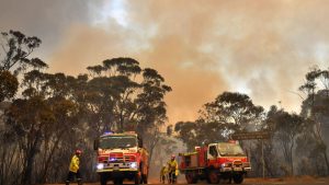 Australia: The warmest day in history - the heat wave continues