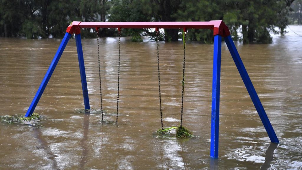 Australia: Floods trigger spider invasion