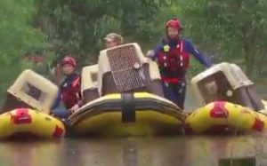 Australia.  Save 20 dogs from floods (video)