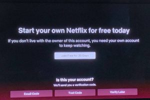 netflix no condivisione password alert