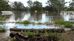 Watch ... the size of Australia's losses from floods after the start of cleanup - misc