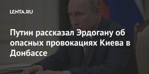 Putin told Erdogan about Kiev's dangerous provocations in the Donbas: Politics: Russia: Lenta.ru