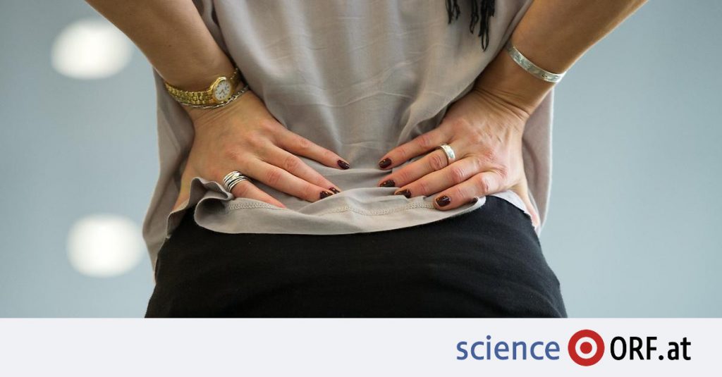 Treatment: stem cell injection against back pain - Science.ORF.at