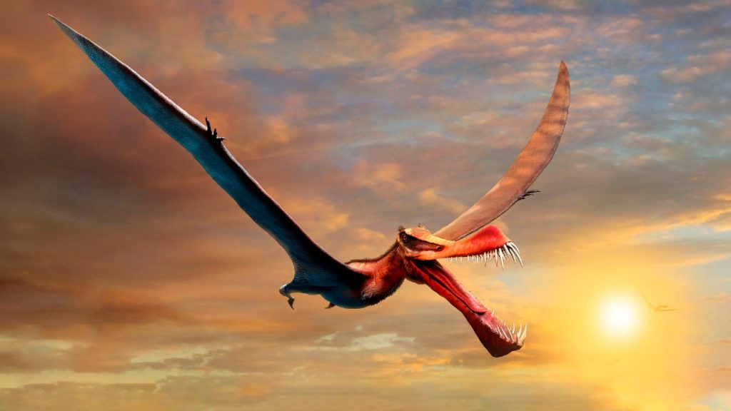 Discover the remains of a flying dinosaur in Australia - Noticieros Televisa