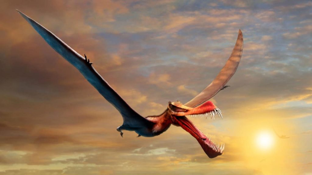 They found a flying dinosaur, described as a "scary dragon", in Australia