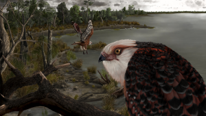 Paleontology: The Eagle Rules Australia - The Science Spectrum