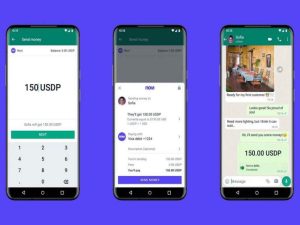 Cryptocurrency Payment Now Launched by WhatsApp, Biggest Company Announcement - Marathi News |  Cryptocurrency payment begins on WhatsApp, Meta allows some users to send and receive money through Novi wallet