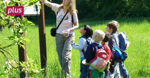 Nature around Lampertheim as a place to reduce stress