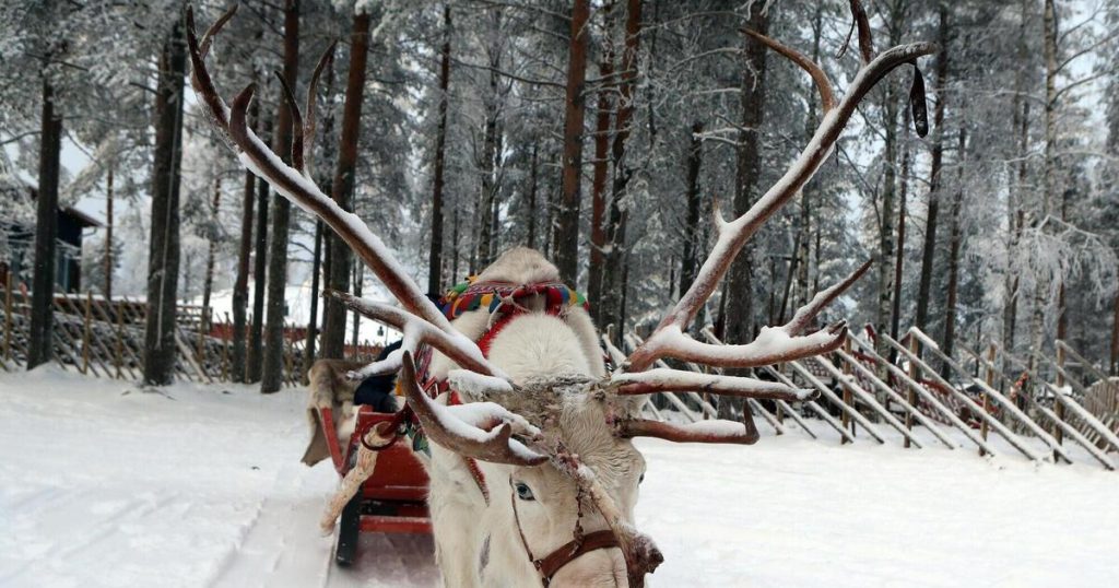 December 1st: About reindeer and elves - Christmas in Finland - Advent calendar of Niels Nager