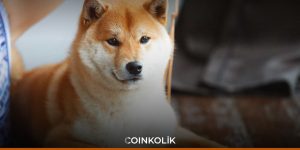 Shiba Inu (SHIB) Developers Announced Phase One of Doggy DAO • Coinkolik