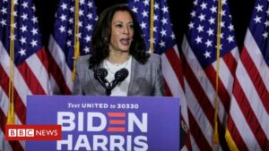 Trump stokes 'birther' theory about Kamala Harris