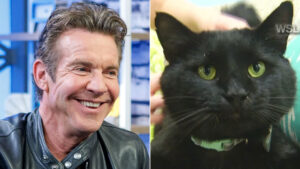 Dennis Quaid, the actor, adopts Dennis Quaid, the cat