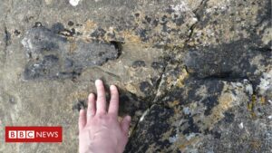 Eigg beach runner stumbles on dinosaur bone