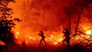 Wildfires, Hurricanes, and Vanishing Sea Ice: The Climate Crisis is Here