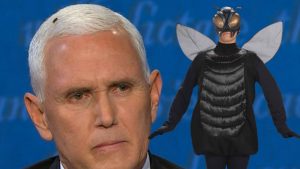 The "Halloween Fly Costume" goes on sale immediately after discussion of the Vice President