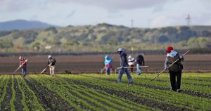 Despite the impact of the Coronavirus, Mexican-American workers are sending large sums of money home