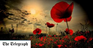 Poppies and ceremonies and why the act of remembering is important