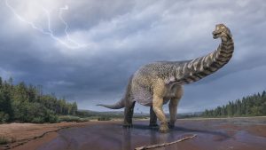 Australotitan coprensis: a new titanium dinosaur from Gondwana