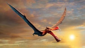 Giant pterosaurs were once inhabited in Australia - science