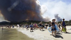 Mediterranean fire: What causes forest fires?