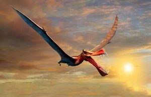 Giant pterosaurs were inhabited in Australia