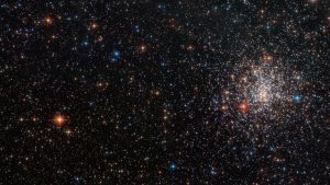 Cosmic dirt particles reveal their origin