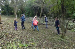 Orchard meadow now provides space for biodiversity - Adelsheim