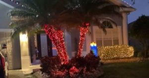 US family fined for early use of Christmas lights - world - tsn.ua