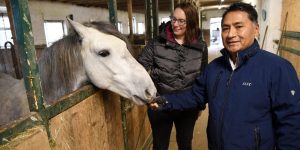 From the USA to Oberberg: Moresbacher Parr breeds Colombian horses